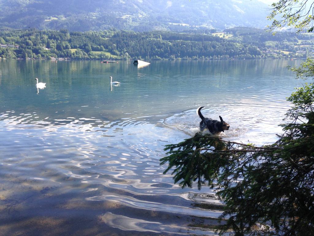Ruhige Wohnung Mit Schoenem Eigengarten In Seeboden Am Millstaettersee الغرفة الصورة