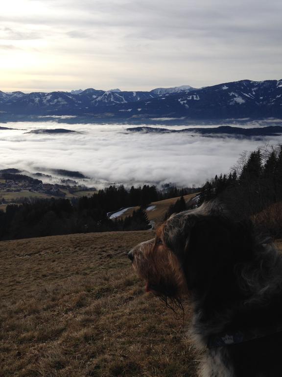 Ruhige Wohnung Mit Schoenem Eigengarten In Seeboden Am Millstaettersee المظهر الخارجي الصورة