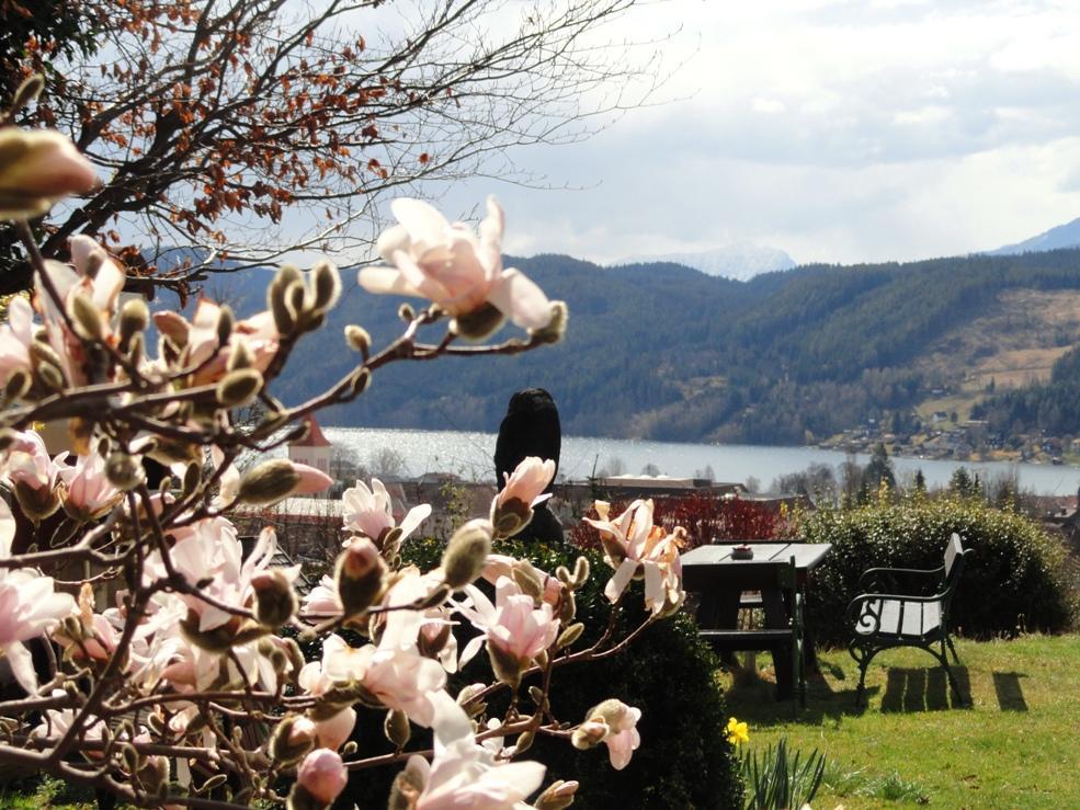Ruhige Wohnung Mit Schoenem Eigengarten In Seeboden Am Millstaettersee المظهر الخارجي الصورة
