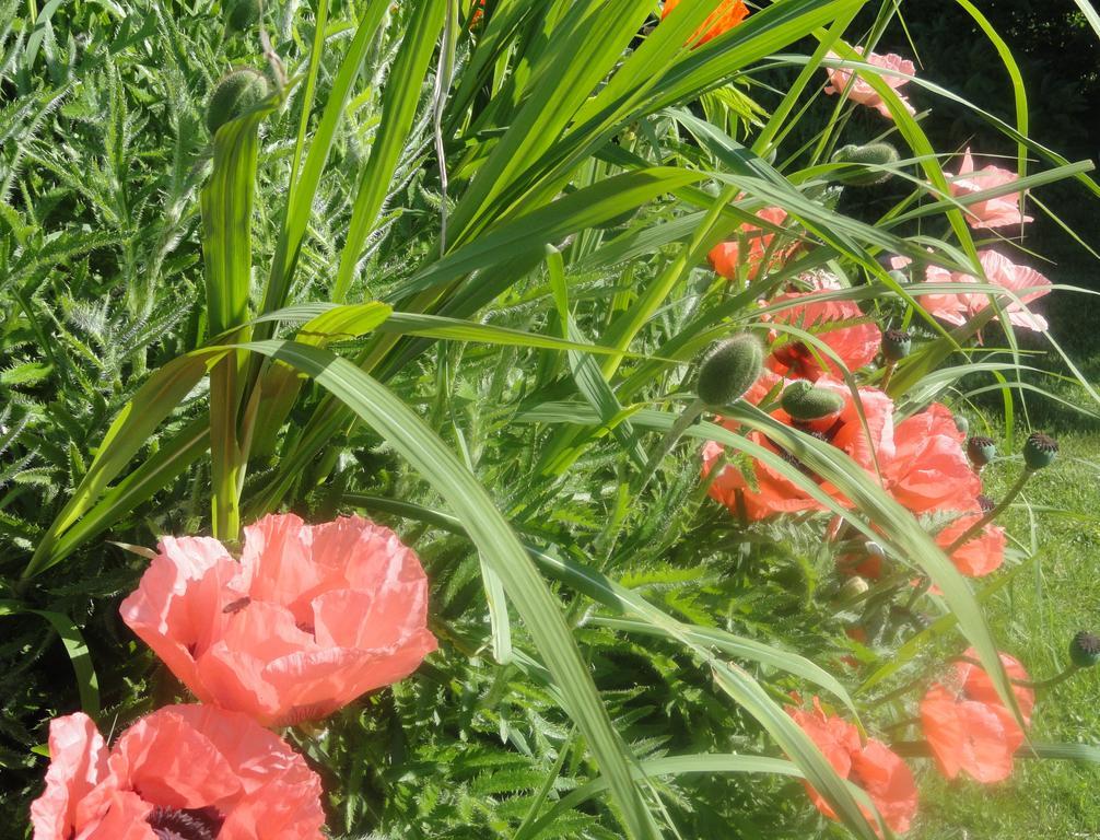 Ruhige Wohnung Mit Schoenem Eigengarten In Seeboden Am Millstaettersee المظهر الخارجي الصورة