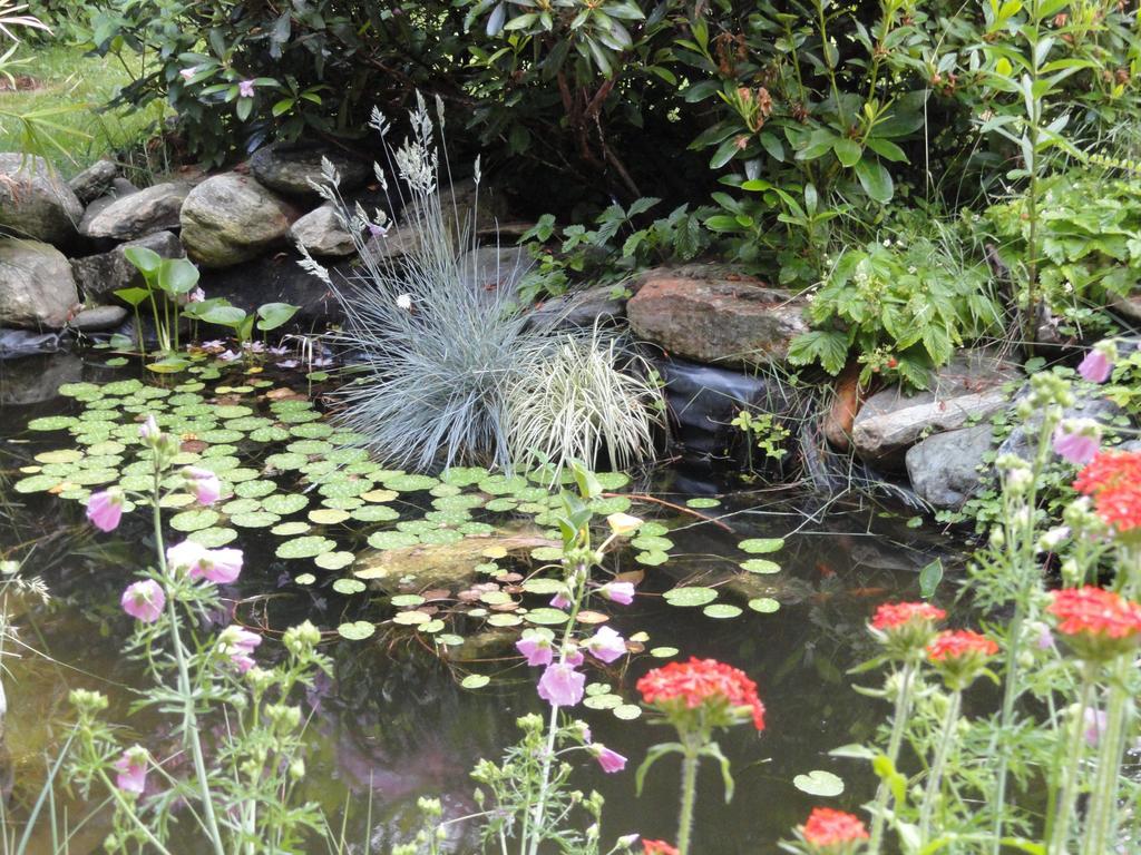 Ruhige Wohnung Mit Schoenem Eigengarten In Seeboden Am Millstaettersee المظهر الخارجي الصورة